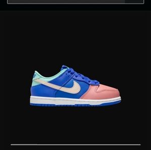 Kids Nike Dunks